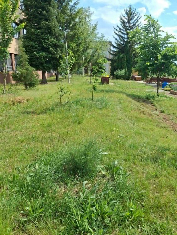 Mi is csatlakoztunk a „Vágatlan Május” kezdeményezéshez! 